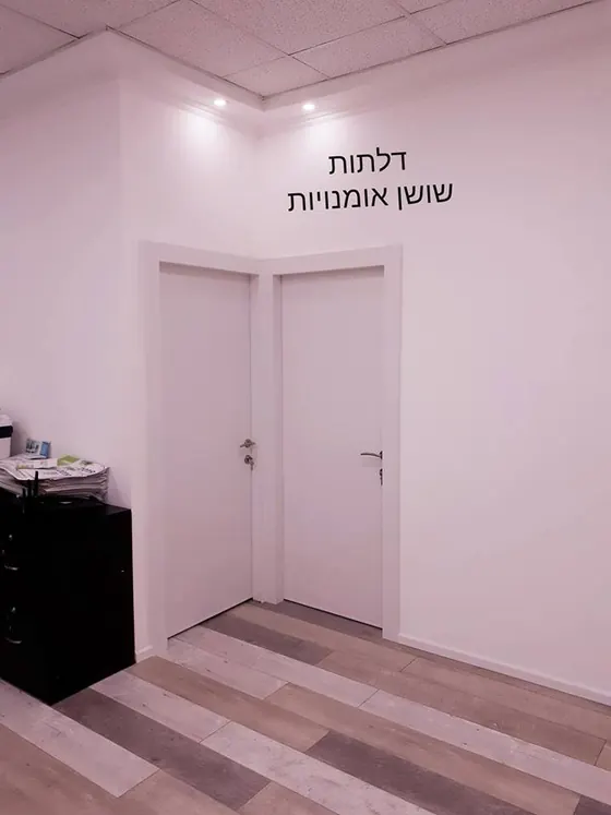 עבודות שביצענו - דלתות פנים - תמונה 2